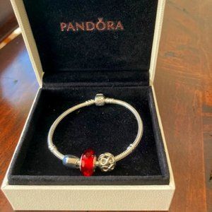 Pandora Charm Bracelet